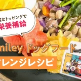 豊富なトッピングでしっかり栄養補給！【純国産ドッグフード】Smlieyアレンジレシピ