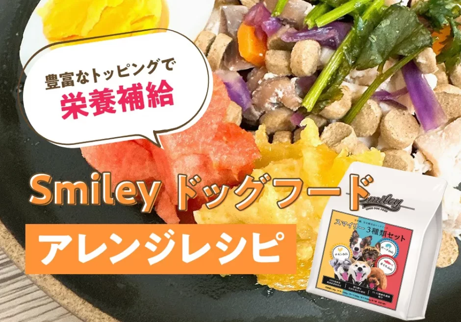 豊富なトッピングでしっかり栄養補給！【純国産ドッグフード】Smlieyアレンジレシピ