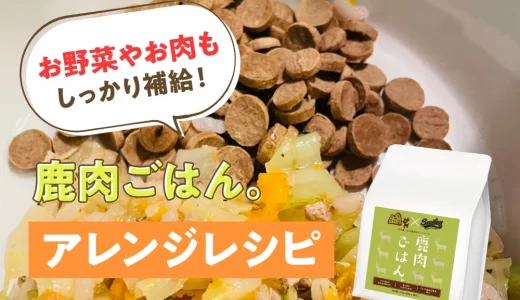 お野菜やお肉もしっかり補給！【純国産ドッグフード】鹿肉ごはん。アレンジレシピ