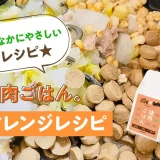 おなかにやさしいレシピ★【純国産ドッグフード】猪肉ごはん。アレンジレシピ