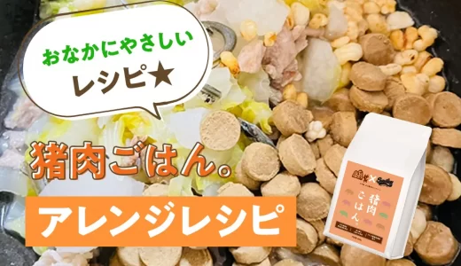 おなかにやさしいレシピ★【純国産ドッグフード】猪肉ごはん。アレンジレシピ